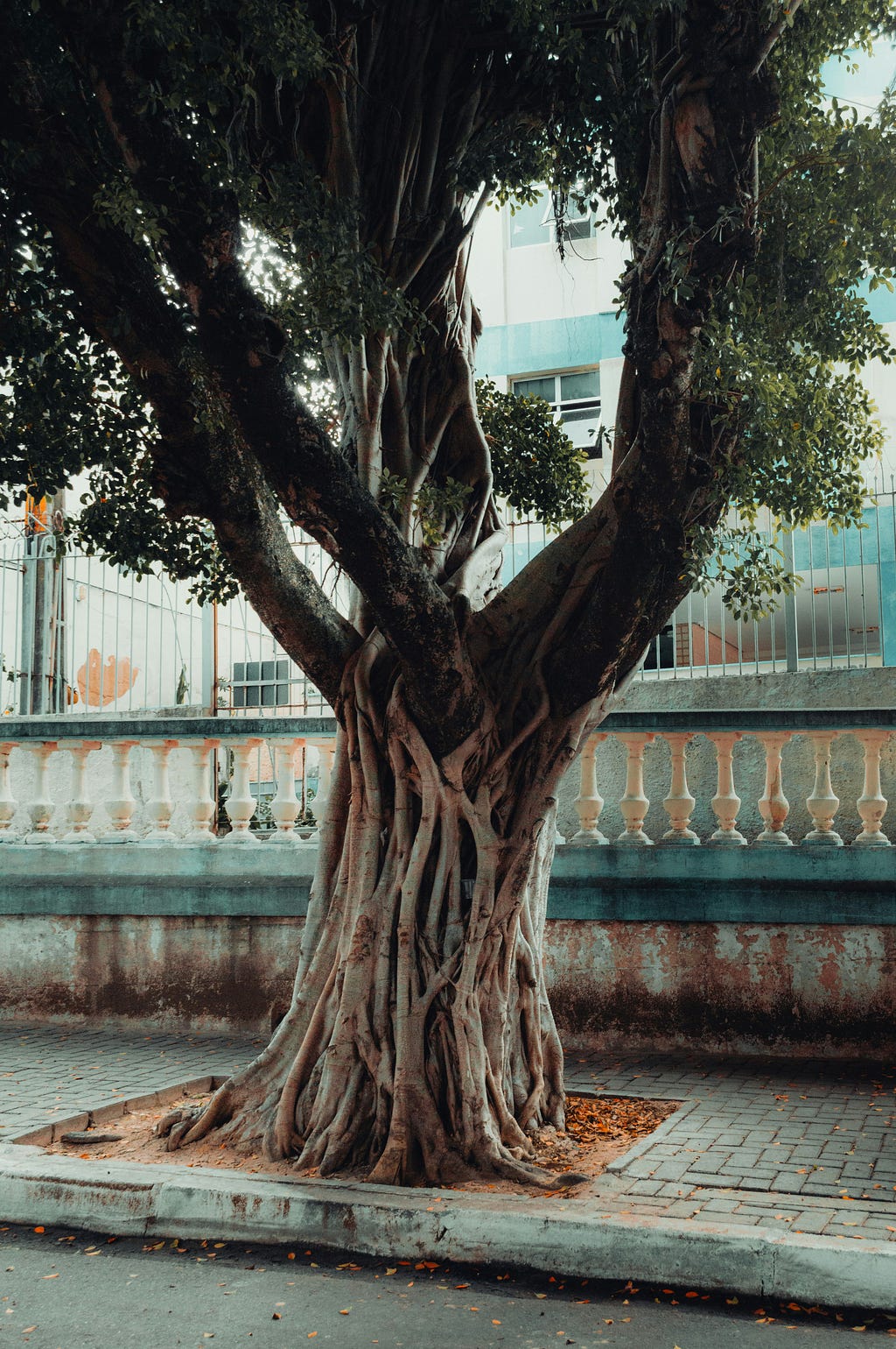 Photo by Ivett M on Unsplash